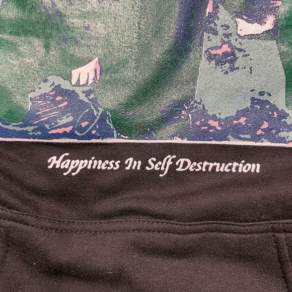 The Plot In You Happiness In Self Destruction Hoodie Sweatshirt Small Black - Picture 9 of 13